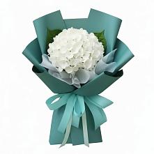 Букет цветов из:  Гортензия в Белоярском Ханты-Мансийского АО
